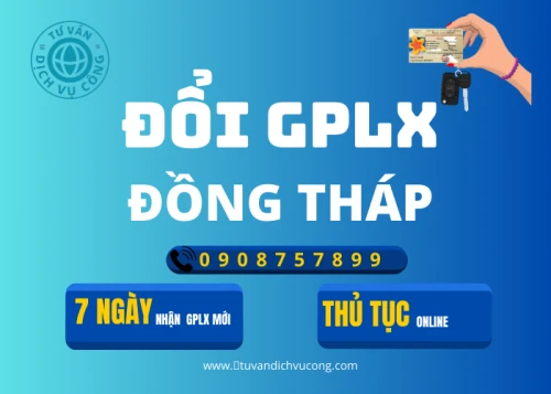 Dịch vụ đổi giấy phép lái xe tại Đồng Tháp