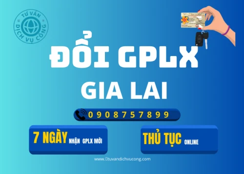 Dịch vụ đổi giấy phép lái xe tại Gia Lai