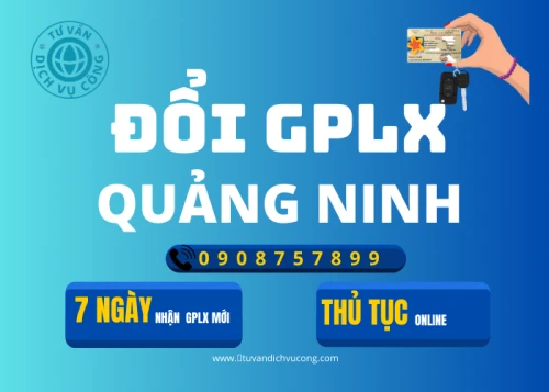 Dịch vụ đổi giấy phép lái xe tại Quảng Ninh