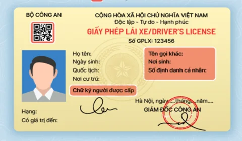 [Hướng dẫn] Đổi Giấy phép lái xe cho người nước ngoài